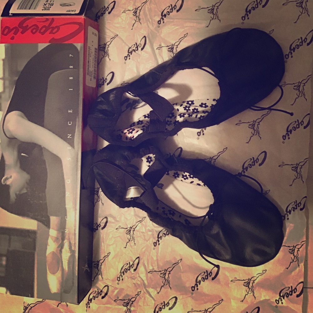 Adult Black Ballet Slippers
